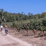 Quinta Murgas Villa