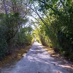 Quinta Murgas