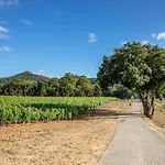 Quinta Murgas * Bucelas