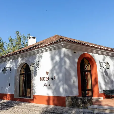 ヴィラ Quinta Murgas