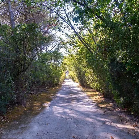 Quinta Murgas