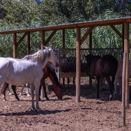 ヴィラ Quinta Murgas