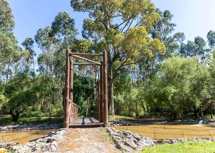 Quinta Murgas Vila *